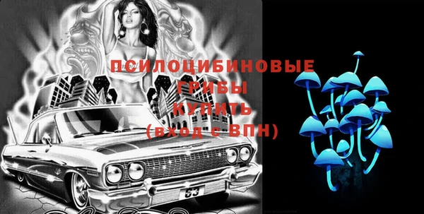 PSILOCYBIN Надым