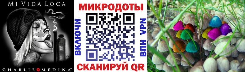 Псилоцибиновые грибы Cubensis  Темников 