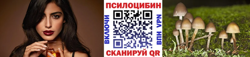 Галлюциногенные грибы Cubensis Темников